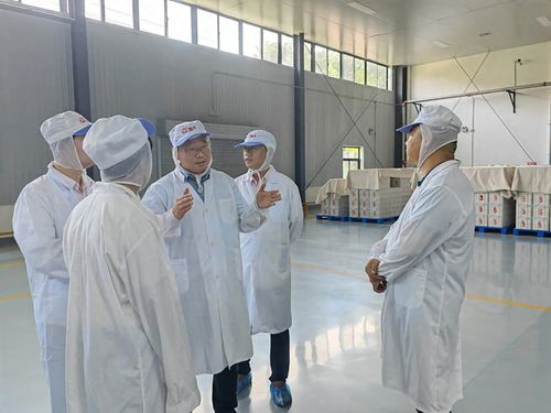 鄭州開展小麥粉生產企業專項監督檢查 筑牢食品安全防線