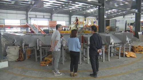 壽光線上熱賣的竟是它們,網售額達9.6億元