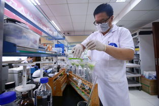 北京舉行農產品質量安全檢測技能競賽