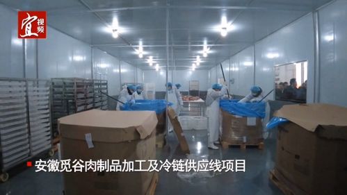 覓谷再添新基地,徽爾食品接受 三看三比 檢查