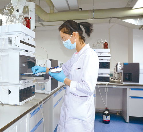 描繪九曲黃河新藍圖 黃河流域 國家重大戰略中的市場監管力量 采訪調研記