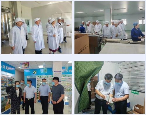 黑龍江省藥監局第三督導組深入齊齊哈爾市 大興安嶺地區開展藥品安全專項整治督導檢查