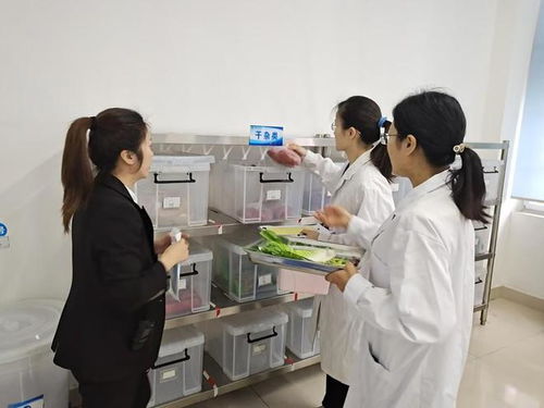 富順縣市場監管局開展 食品快檢進校園 活動