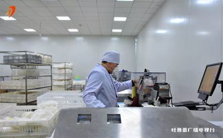 國家棉花及紡織服裝產品質量監督檢驗中心新疆工作站成立