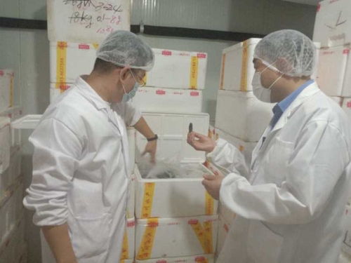 城陽區緊急開展海參加工企業專項檢查，全面排查315晚會曝光問題