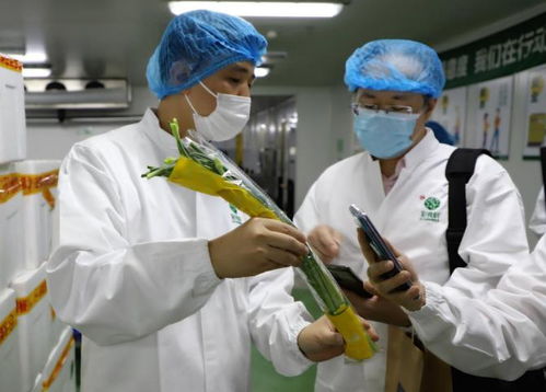 永輝彩食鮮媒體開放日 中央工廠保障全鏈條食品安全與紡織品服裝質檢